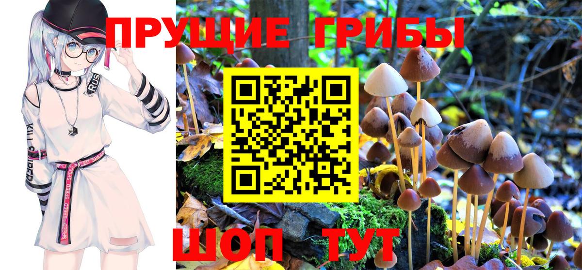 Галлюциногенные грибы прущие грибы  Галлюциногенные грибы Psilocybe  Вход с VPN  Сергиев Посад 